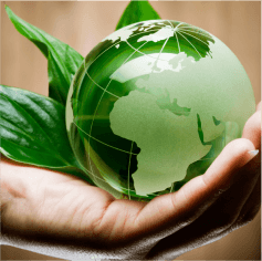 Sustainability
